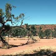 Todd River, Alice Springs