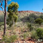 MacDonnell Ranges, Alice Springs