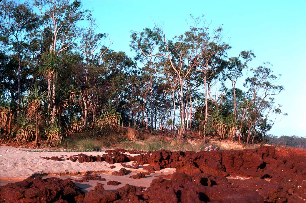 Elcho Island coast