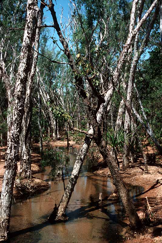 Mainoru river