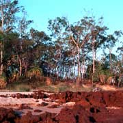 Elcho Island coast