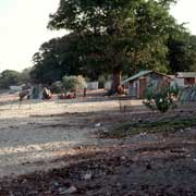 Houses on the beach