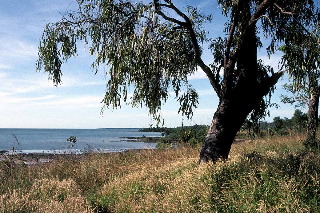 View of the Arafura Sea