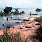 Maningrida coast