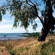 View of the Arafura Sea