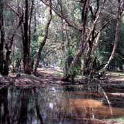 Mumeka river crossing