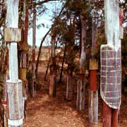 Tiwi carved birds