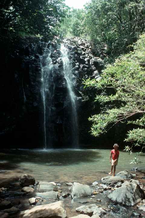 Ellinjaa Falls