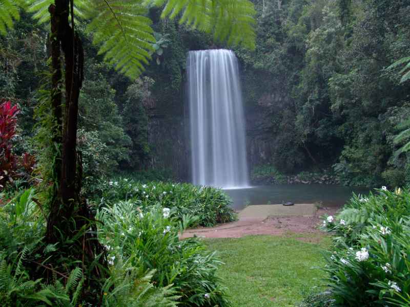 Millaa Millaa Falls