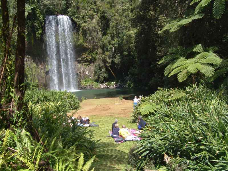 Millaa Millaa Falls