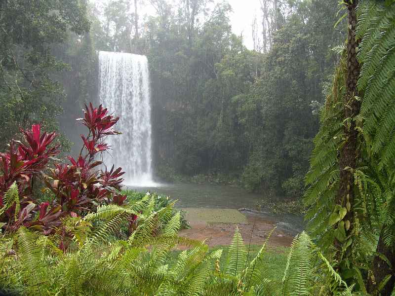 Millaa Millaa Falls