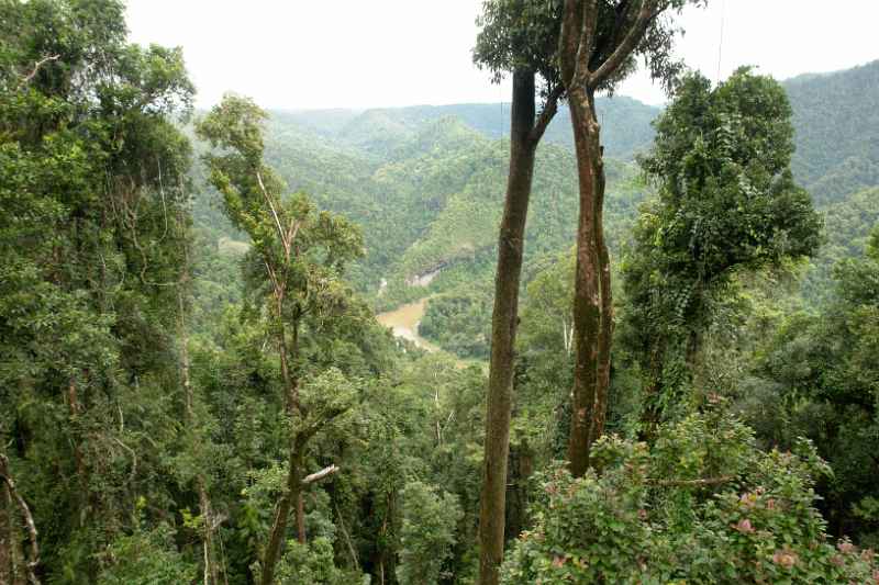 Johnstone River