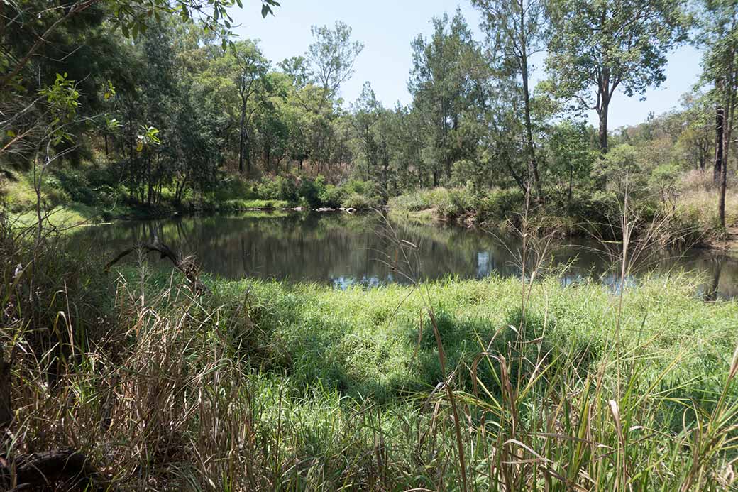 Millstream river