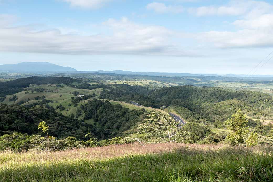 View, Millaa Millaa Lookout