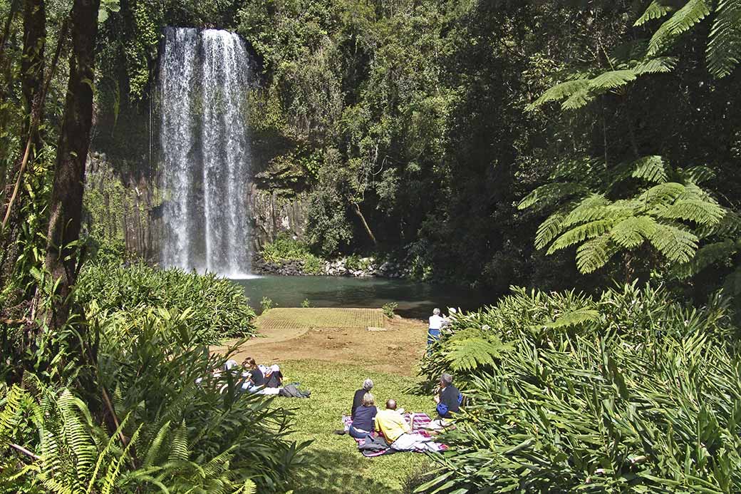 Millaa Millaa Falls