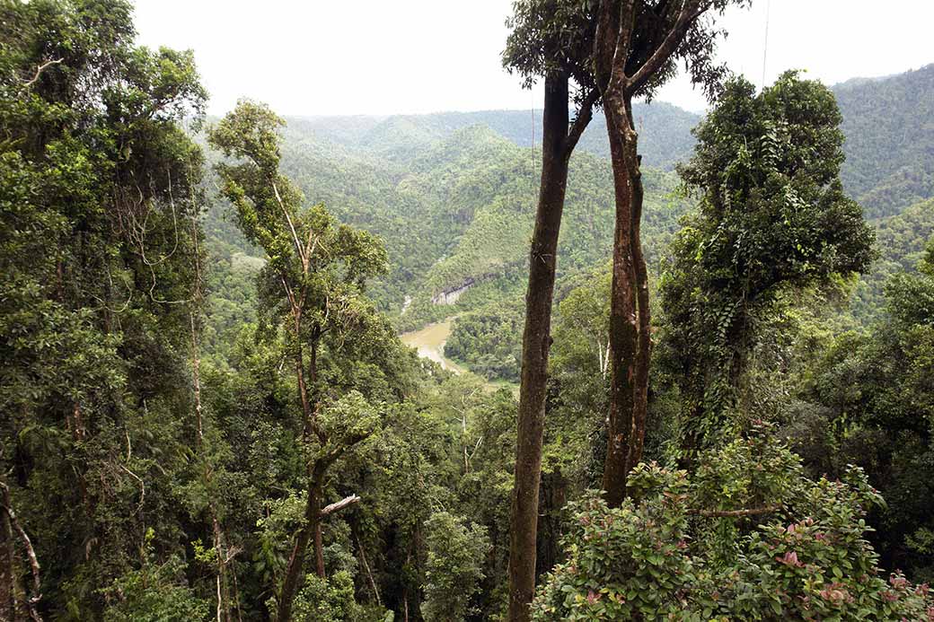 Johnstone River