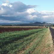 On the Tablelands