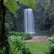 Millaa Millaa Falls