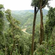 Johnstone River