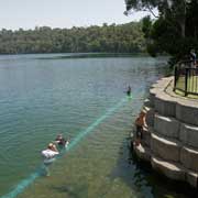 Swim in Lake Eacham