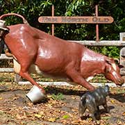 Farmer with a cow