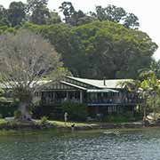 Tearoom, Lake Barrine