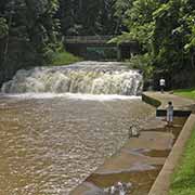 Malanda Falls