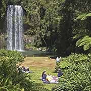 Millaa Millaa Falls