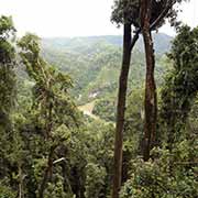 Johnstone River