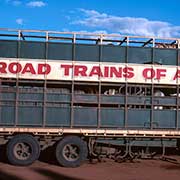 Cattle transport