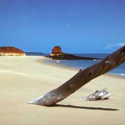 Beach at Rocky Point