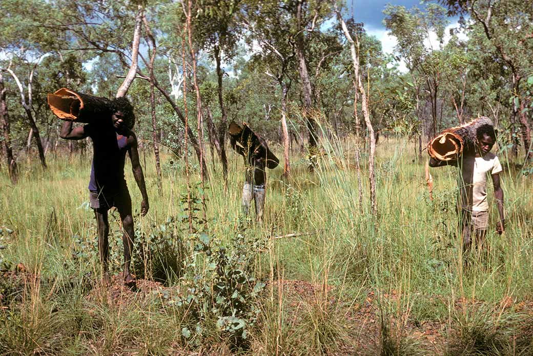 Collecting bark