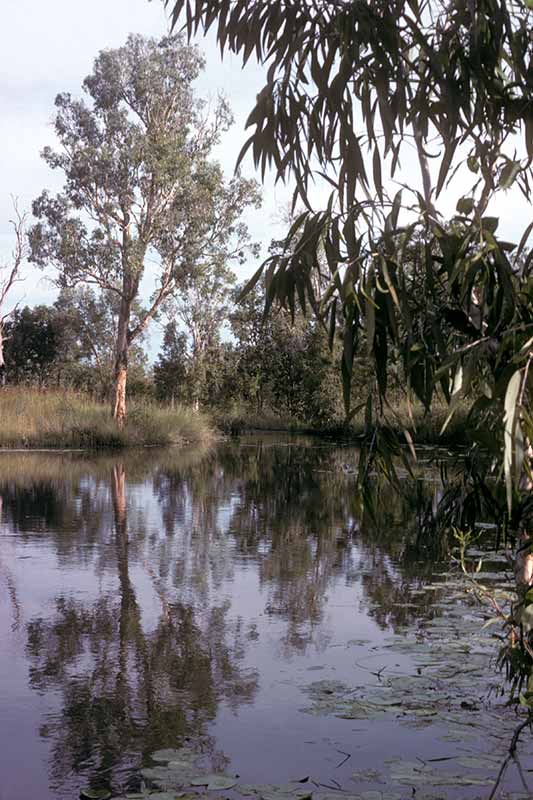 Beswick River