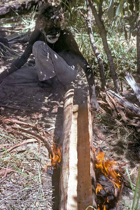 Curing bark