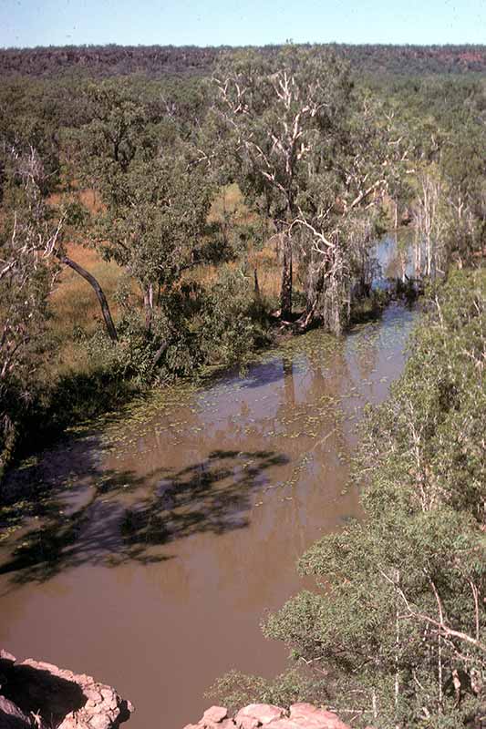 View at Dartluk