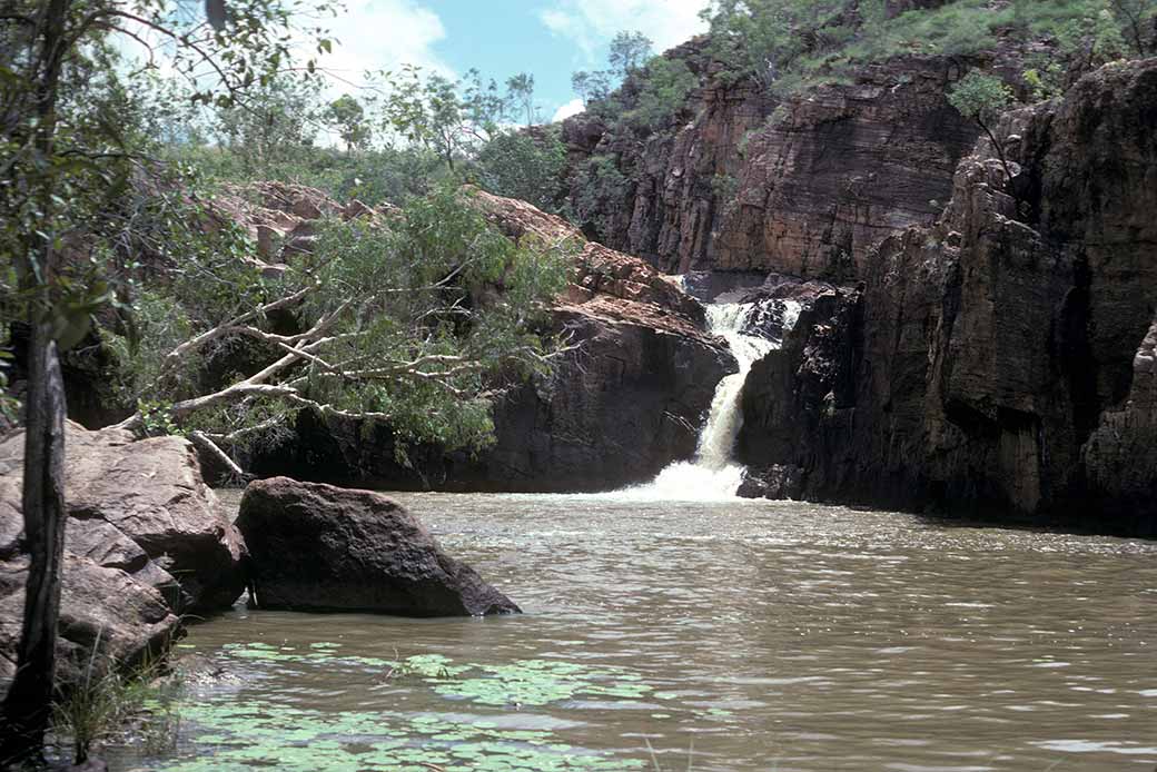 Pool, Dartluk