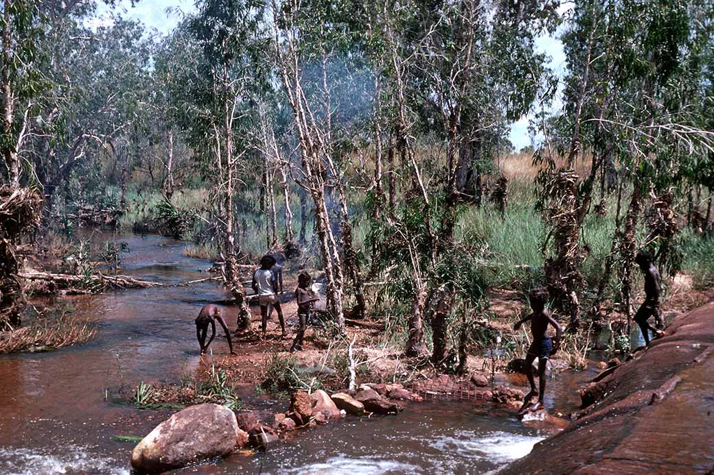 Beswick Creek