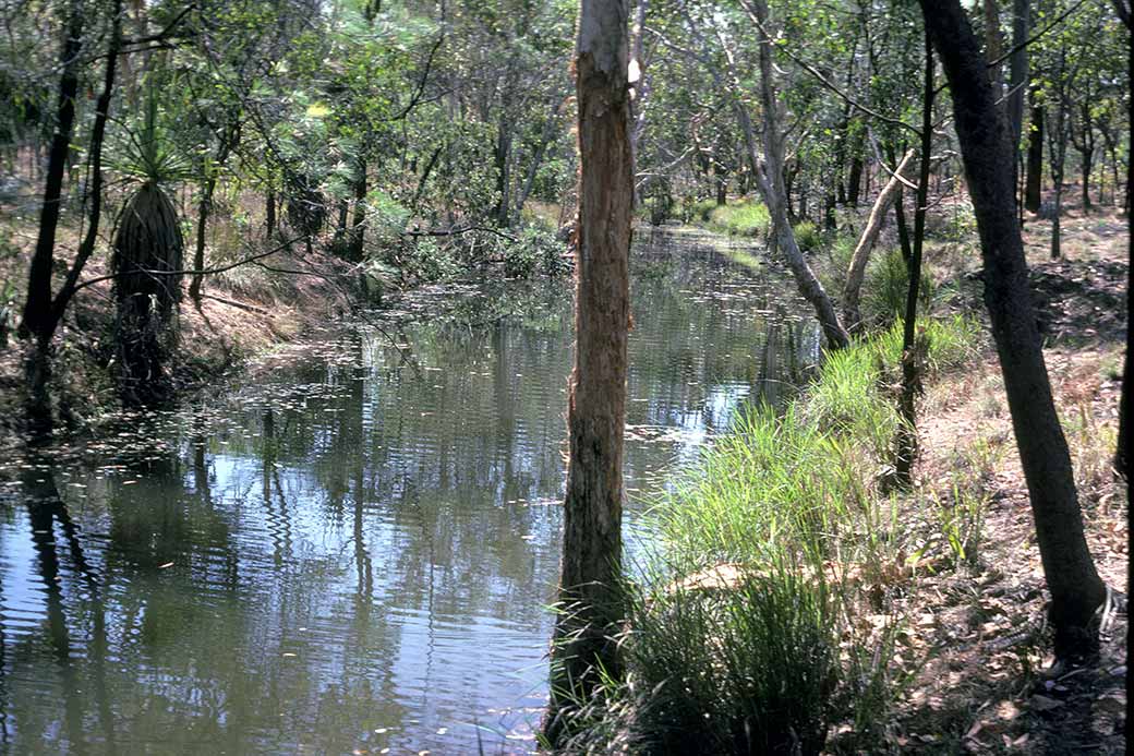 Barunga (Beswick) Creek