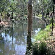 Barunga (Beswick) Creek