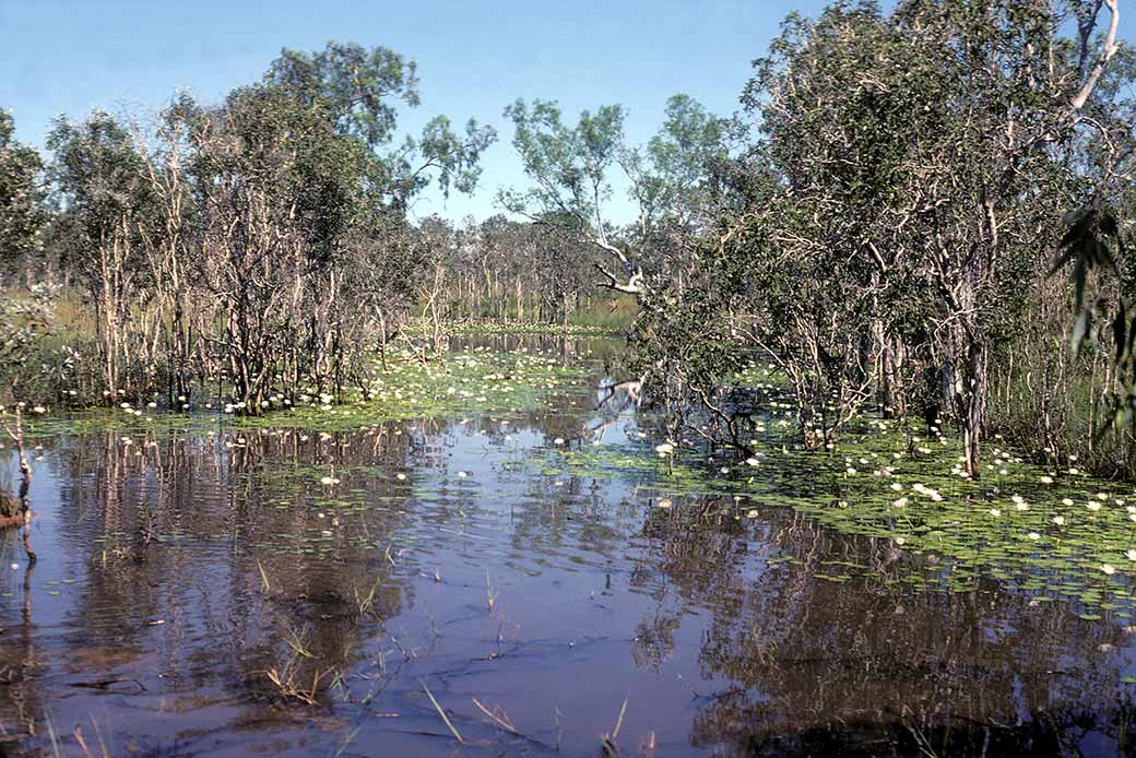 Batten Creek