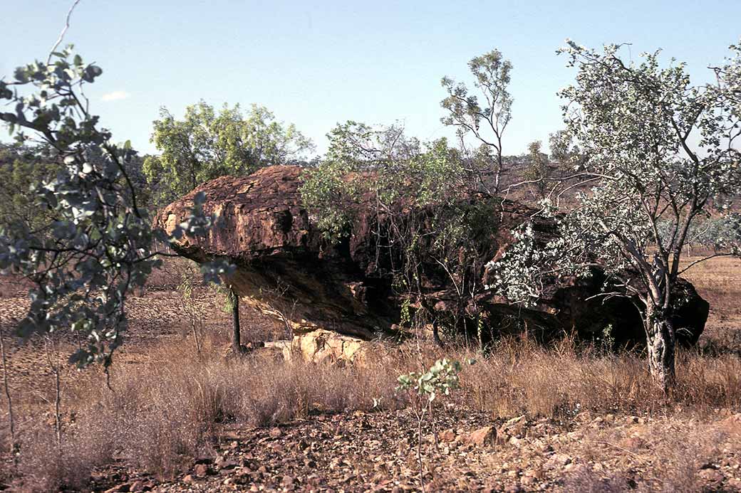 Frog Rock