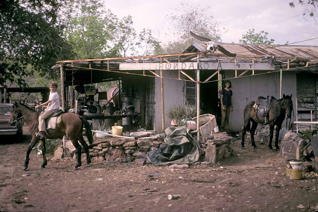 Bush home, Borroloola