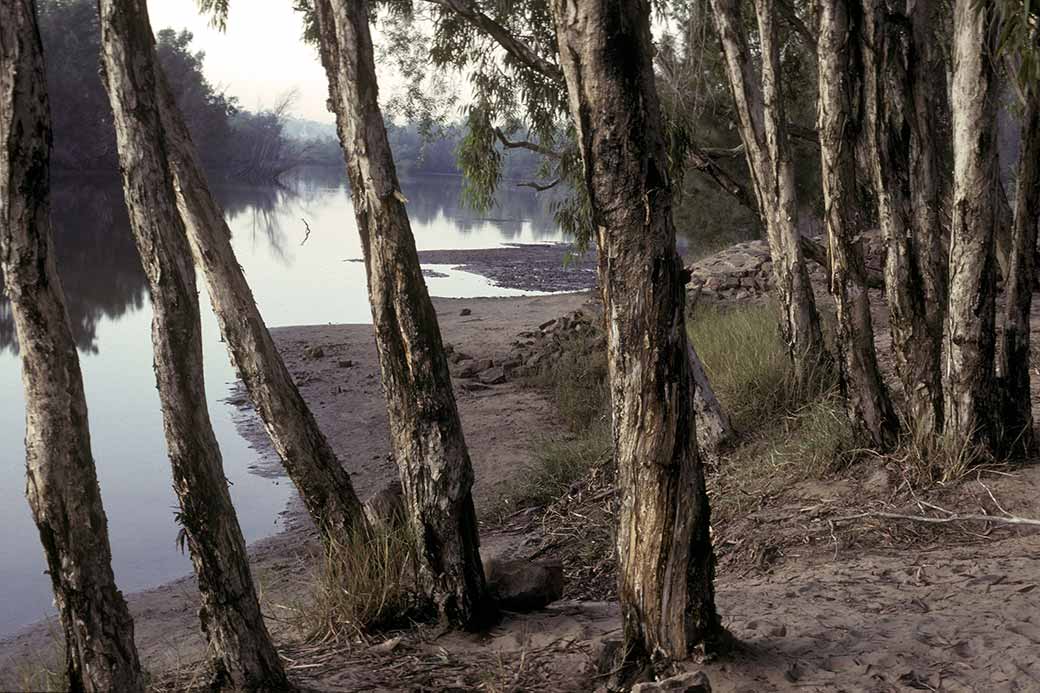 On the McArthur River