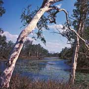 Snake Lagoon