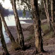 On the McArthur River