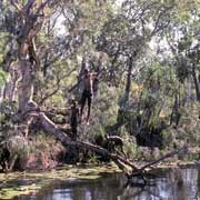 Swim at Bone Lagoon