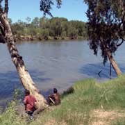 Along the McArthur River