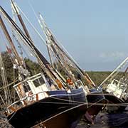 Pearling luggers at low tide