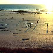 Sunset over Cable Beach