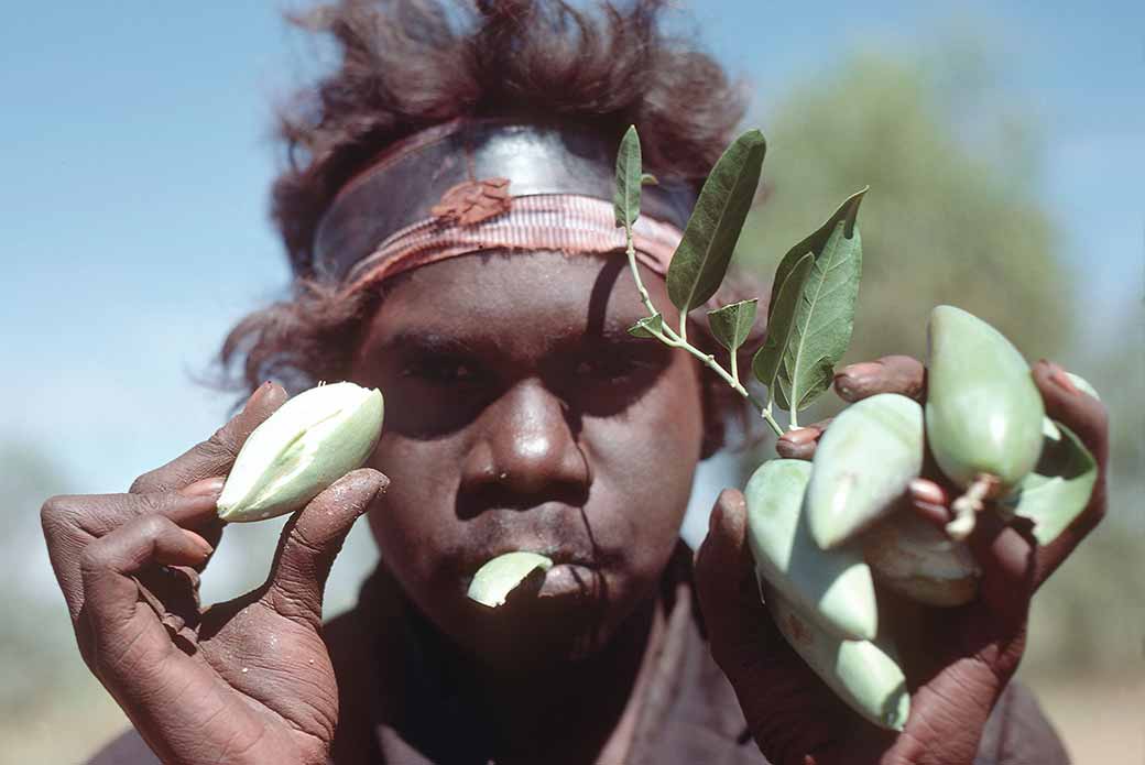 Showing bush banana